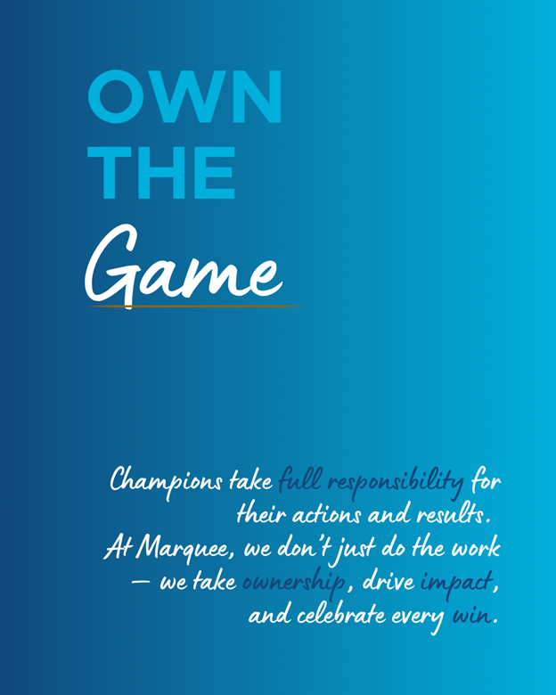 Own The Game
